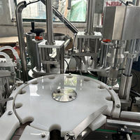Machine de remplissage et de capsulage de liquide entièrement automatique pour l'emballage de petites bouteilles d'ampoules
