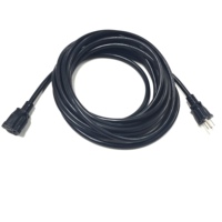 Câble d'extension Edison 10 pieds 12/3, 15A 125V, NEMA 5-15P vers 5-15R, SJOOW, résistant aux intempéries, robuste, pour extérieur et intérieur, noir