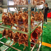 Mesin Pengering Ikan Komersial, Cumi-cumi, Siput, Camilan Anjing, Makanan Kucing, Oven Pengering, Pengering Daging Tua