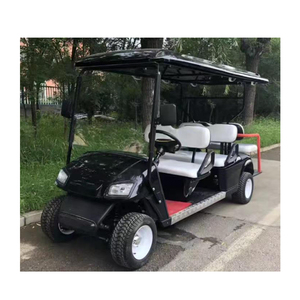 Voiturette de golf électrique 2 sièges approuvée CE - Product Image 1