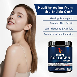 ODM OEM Multi-collagène MSM Chondroïtine Sulfate Glucosamine Chlorhydrate Produits de Beauté Poudre de Qualité Alimentaire - Product Image 4