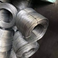 Stok Pabrik Pengiriman Cepat Z100 10 12 14 Gauge SWG11 SWG19 Kawat Baja Paduan Galvanis Celup Panas Ketebalan 2mm untuk Konstruksi