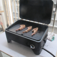 Vente directe usine : Barbecue rotatif professionnel d'extérieur en fer thermolaqué à gaz, modèle 323-05, avec friteuse à propane de table