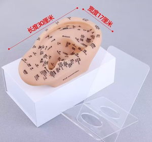 30 सेमी पारंपरिक चीनी चिकित्सा ऑरिकुलर पॉइंट मॉडल दोहरी भाषा उत्कीर्ण कान अभ्यास शरीर सुरक्षा फ़ंक्शन प्लास्टिक - Product Image 5