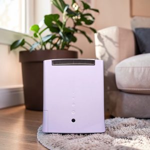 DD7 Anti odor desiccant <b>dehumidifier</b> small for commercial - 1 year warranty - Product Image 1