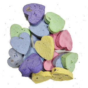 Kit di Semi di Fiori Moderni per Germinazione Personalizzata (Confezione da 5) Non-OGM, Bombe di Semi di Fiori Selvatici Annuali e Perenni Fatte a Mano - Product Image 3