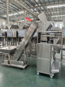 เครื่องบรรจุบล็อกชั่งน้ำหนักแบบแถบผงกึ่งอัตโนมัติสำหรับ AT-2K - Product Image 3