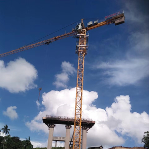 Grúa <span class=keywords><strong>Torre</strong></span> 5T QTZ66 50M con Motor de Caja de Cambios y Sistema de Ascenso Interno para Construcción - Product Image 1