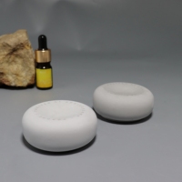Test de logo personnalisé Pierres de gypse de parfum Pierre d'huile essentielle Pierre de diffuseur d'arôme de parfum en céramique