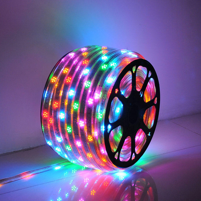 Gmxx040 6Color Led Strip 220V Smd2835 120Leds/M Flexible Tape Light Plum Dance Rgb Led Light Strip