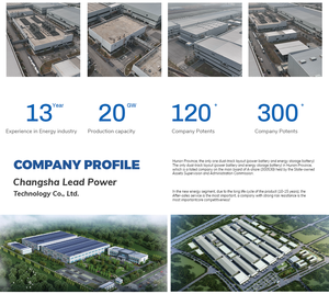 LP21700 固态磷酸铁锂电池 5000mAh <span class=keywords><strong>3</strong></span>.7V/4.2V 可充电 800次循环 -10至25℃ 湖南省 用于电动汽车 - Product Image 4