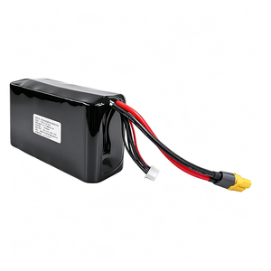 HOZHM High-power 6S2P 10Ah 222Wh Portable Power Station Output High Capacity Semi-solid State 800-Cycle IN - Product Image 3