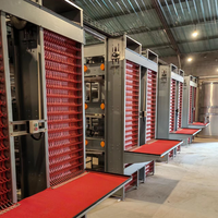 Cage à poules pondeuses de type H moderne, à 3-12 niveaux, avec système de collecte automatique des œufs