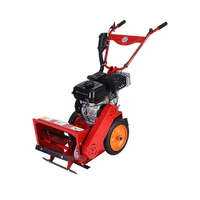 Mini-motoculteurs pratiques à moteur pour rizières