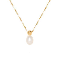 Collier vintage en forme de flacon de parfum à la mode, perle d'eau douce, chaîne de clavicule, acier titane plaqué or 18 carats, pendentif