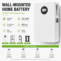 Batterie LiFePO4 murale 25,6 V 150 Ah 3,84 kWh pour fournisseur de sauvegarde solaire 24 V