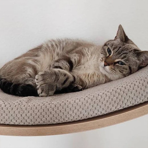 Muebles de madera cómodos, estante para gatos montado en la pared, estantes de pared para gatos y perchas para dormir - Product Image 2
