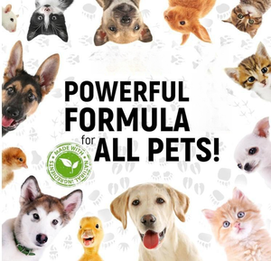 عينات مجانية من المضادات الحيوية للكلاب قطرات للعدوى السعال والمضادات الحيوية الطبيعية للقطط لدعم الجلد والمعطف والهضم - Product Image 3