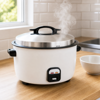Cuiseur à riz commercial personnalisable avec options de panneau de couleur OEM, de tension et de prise pour l'exportation