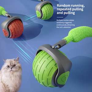 Yeni interaktif plastik kediler köpekler oyuncaklar otomatik hareketli Pet Teaser komik küçük akıllı haddeleme topları kutusu sürdürülebilir moda