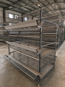 Sistema Moderno de Jaulas <span class=keywords><strong>para</strong></span> Gallinas Ponedoras <span class=keywords><strong>para</strong></span> Equipos de Granjas Avícolas con Comedero y <span class=keywords><strong>Bebedero</strong></span> - Product Image 2