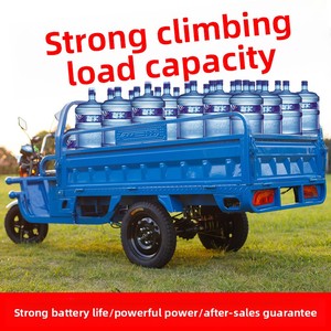 Electric Three-Wheeled Cargo Tricycle Open Body 1000W Power 50-70km/h Speed Household Agricultural Use - Product Image 2