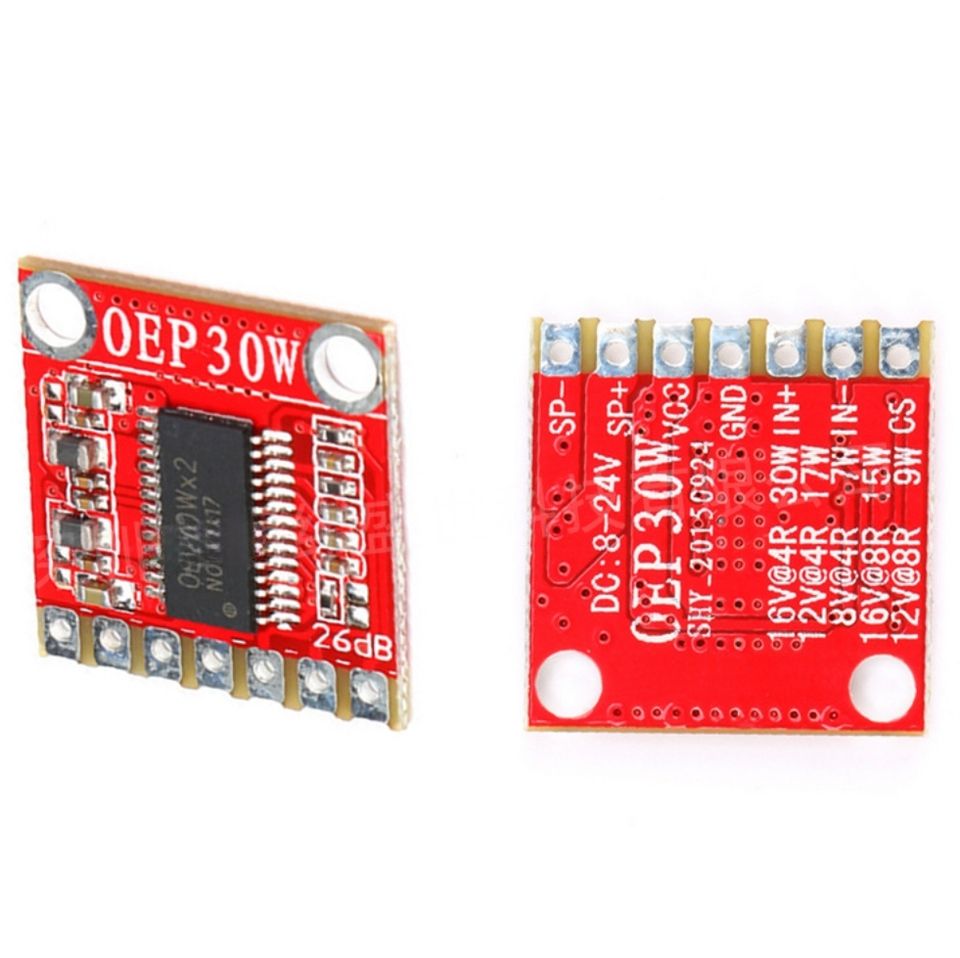 OEP30W Mono Digital Amplifier Board Module 30W DC 8-24V D Class #E10