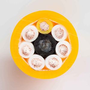 Lskabel Certification UE Chaîne de traînée PUR Câble à paire torsadée blindée PUR HF CY(ST) 6*2*0.12mm2 Câble résistant à la corrosion - Product Image 3