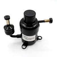 R134a Bldc 12v 24V 48V Micro compresseur rotatif pour refroidisseur de processeur de refroidissement électronique