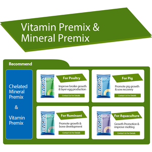 Nhà Sản Xuất Cung Cấp Thức Ăn Lớp Chelated Hữu Cơ Đa Khoáng Chất Bổ Sung Cho Gia Cầm Gà Thịt Lớp Gà - Product Image 6