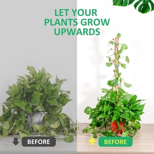 Poteau de support <span class=keywords><strong>pour</strong></span> plantes d'intérieur en fibre de coco, flexible et façonnable, <span class=keywords><strong>pour</strong></span> l'horticulture - Vente chaude - Product Image 4