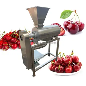 Extrator de suco de tomate e damasco, pulpa de frutas doces e frescas, preço de polpa de abacaxi, espremedor de manga, máquina comercial