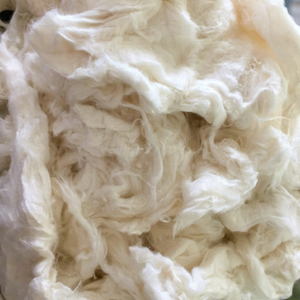 Hilo de Algodón 100% Orgánico, Transpirable, Ecológico, Antibacteriano, Fibra Natural Blanca y Esponjosa para Uso en Hilanderías - Product Image 1