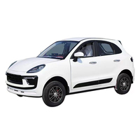Véhicule électrique hybride SUV personnalisé en gros, mini-véhicule électrique, véhicule SUV électrique