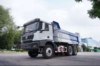 Chine Nouveau camion à benne basculante Euro 5 X5000 avec pare-chocs en métal-avec protections lumineuses