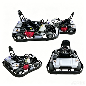 Karts de qualité supérieure résistants à la corrosion pour parcs d'attractions en bord de mer et utilisation à long terme - Product Image 4
