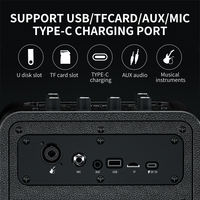 Enceinte Karaoké Portable Sans Fil pour Réunions en Extérieur avec Microphones, Boîte à Musique, Prise en Charge Carte TF et Clé USB