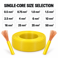 Fil de cuivre flexible multibrins BVR de 0,5 mm² à 50 mm², câble monoconducteur isolé en PVC pour panneaux électriques
