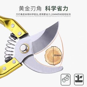 Golden Handle <b>Pruning</b> Shears Stainless Steel Blade 20-30 Mm Manual Fruit <b>Tree</b> Trimming <b>Tool</b> - Product Image 2