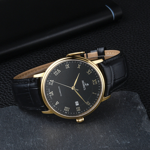 PT5000 orologio da uomo meccanico automatico <span class=keywords><strong>di</strong></span> lusso personalizzato in acciaio inossidabile con vetro zaffiro Ultra sottile - Product Image 5