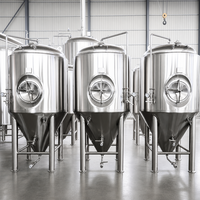 Cuve de Fermentation Conique en Acier Inoxydable Tonsen 2000L-10000L (20HL-100HL) à Double Enveloppe pour Brasserie Commerciale