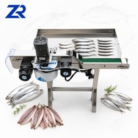 Machine à éviscérer les poissons, machine à ouvrir le dos des petits poissons, machine à éviscérer les sardines, machine à nettoyer et à éviscérer les poissons.