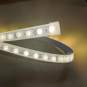 Tira de Luz LED Flexible de Silicona de 24V 36W para Iluminación Arquitectónica de Puentes - Product Image 1