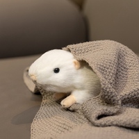 Jolie poupée souris blanche en peluche douce pour garçon et fille, cadeaux d'anniversaire