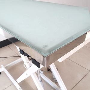 Capacità di carico 120kg HF-501 LED elettrico di sollevamento tavolo di bellezza toelettatura per cani di grossa taglia - Product Image 3