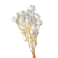 Rose blanche dégradée préservée, petite rose à bulles, bouquet de roses éternelles naturelles, matériel DIY pour gâteau floral de mariage