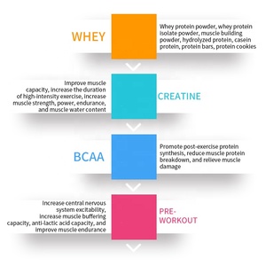 Vente en gros de meilleure poudre de protéine de lactosérum monovalent personnalisée pour adultes supplément d'exercice de fitness riche en protéines pour un gain musculaire rapide - Product Image 5