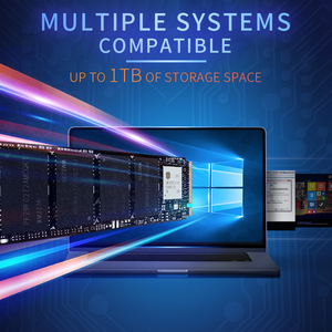 Оптовая продажа твердотельных накопителей LEVOFAST Custom M2 NVMe PCIe SSD, 1 ТБ, внутренний, портативный, M.2 SSD - Product Image 2