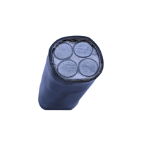 0,6/1kV Niederspannung YJV/YJV22 4-adriges gepanzertes Kupfer-Stromkabel 25 mm2 35 mm2 50 mm2 70 mm2 Aluminium leiter ZC/Al/XLPE/STA/PVC