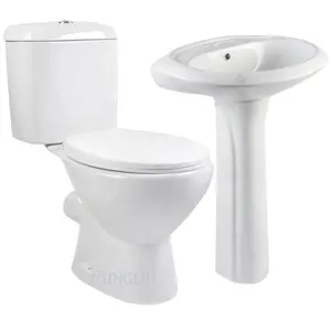 Elegant white two piece floor mounted german toilet from China manufacturer